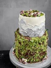 Load image into Gallery viewer, Tier Cakes